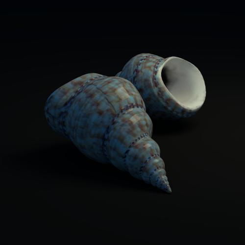 Shell preview image